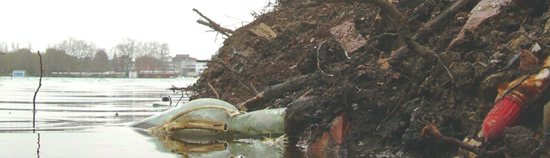 Antic abocador de Punta Freixenet. Estany de Banyoles